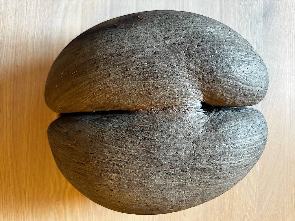 Alle Dekorationen: COCO DE MER – Gebraucht aus Aathal-Seegräben von rom_cg7q