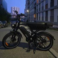 E-Bike Fatbike