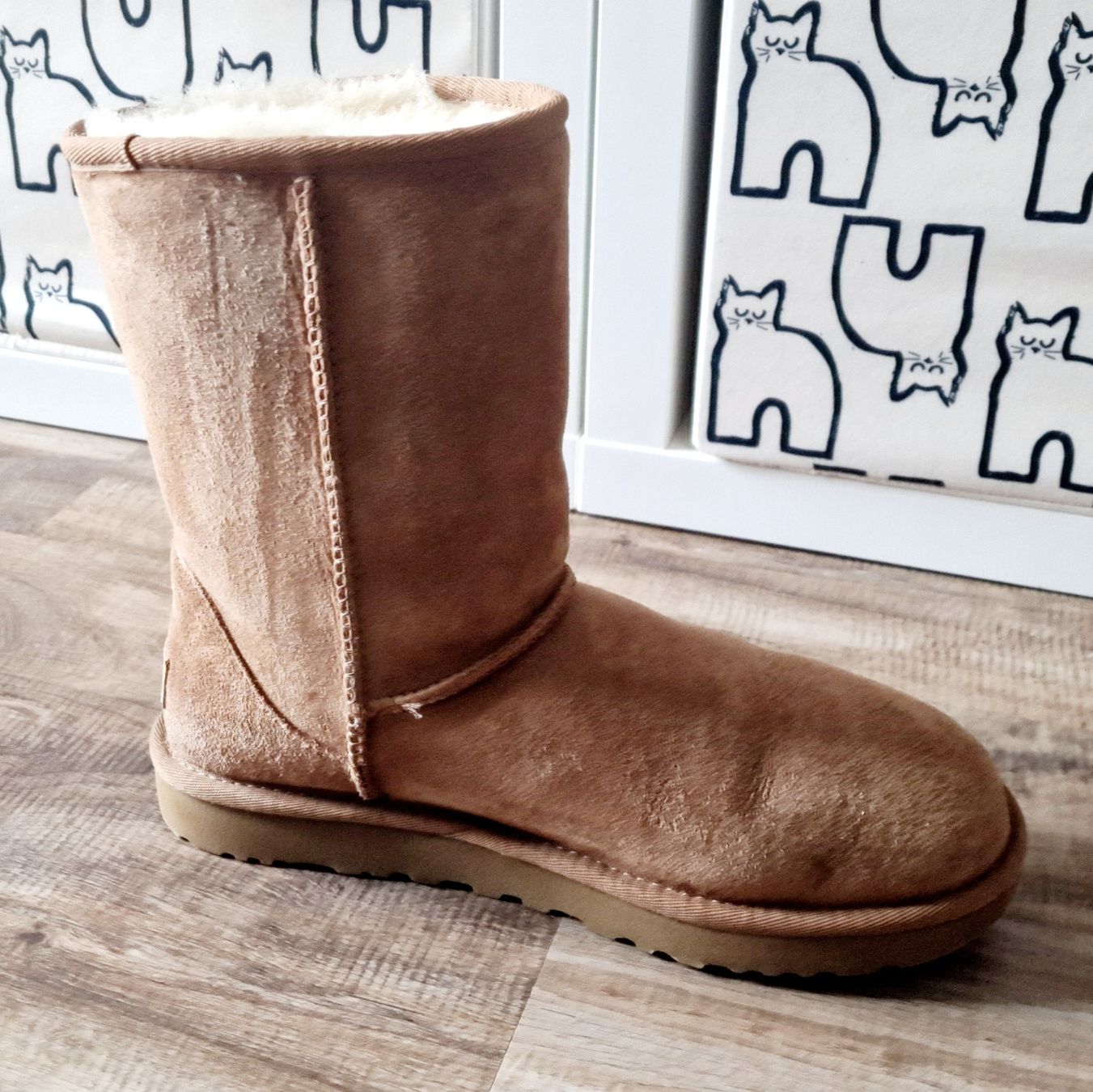 Ugg Damenschuhe: UGG Stiefel – Neu (gemäss Beschreibung) aus Olten von papalbina 1