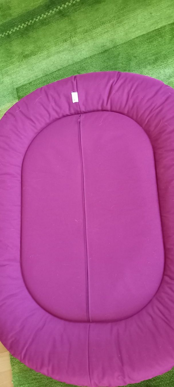 Liege- & Schlafplätze: Hundebett gross – Gebraucht aus Höri von bsc_68fw 4