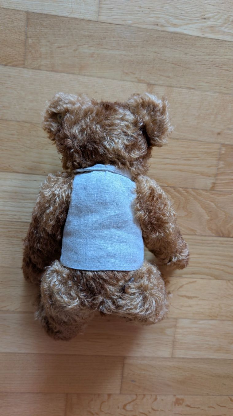 Giocattoli: Steiff Teddybär Limited Edition – Nuovo (secondo la descrizione) da Locarno venduto da antonioamato 2