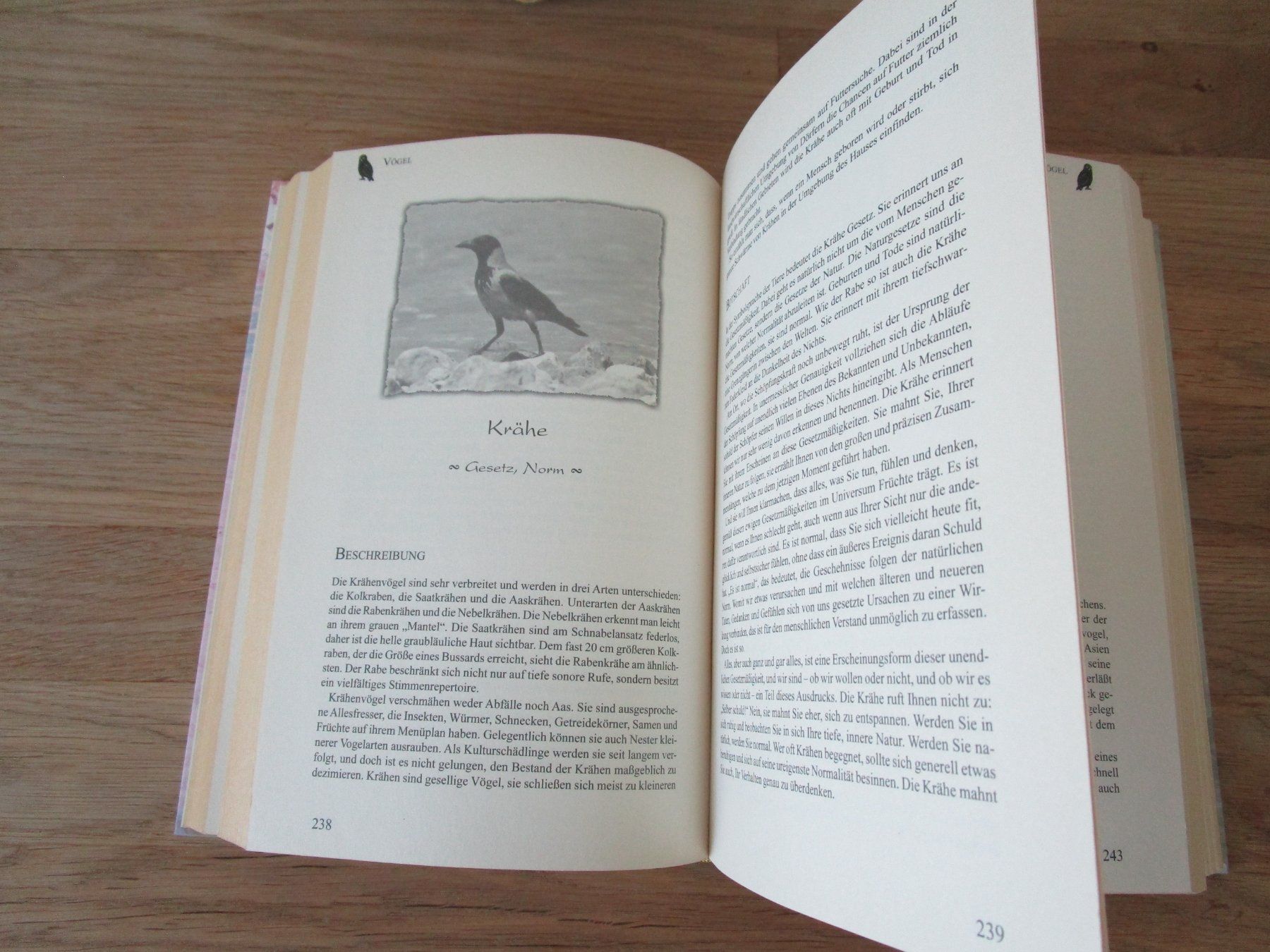 Libri: TIERISCH GUT...von Regula Meyer-BESTSELLER – Usato da Scuol venduto da Luana.. 3