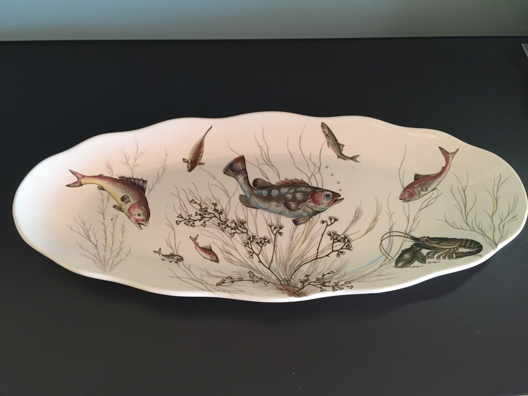 Servierplatten: Magnifique plat à poisson + 8 assiettes – Gebraucht aus Chernex von nounours2010
