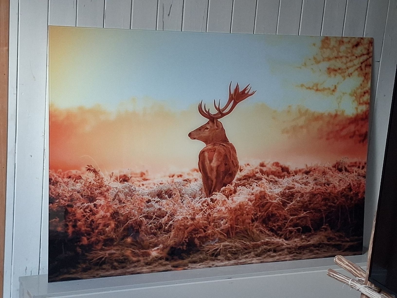 Foto & Immagini: 120x80 Bild mit Hirsch – Usato da triesenberg venduto da ginoblue