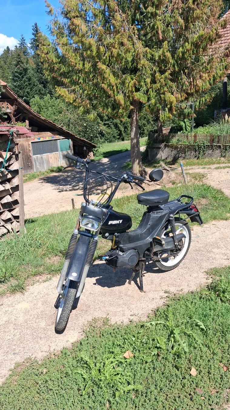 Ciclomotori: Pony Cross 521 – Difettoso da Rüegsbach venduto da dar_5bs8