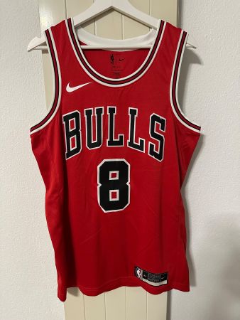 Chicago Bulls, Zach LaVine