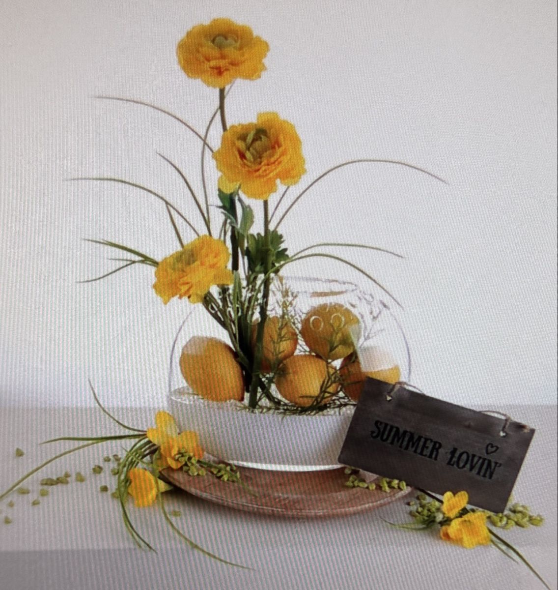 Vasi & Recipienti: Blumenvase Velou Ovalvase XL Set – Nuovo (secondo la descrizione) da Bern venduto da Zeiseli 1