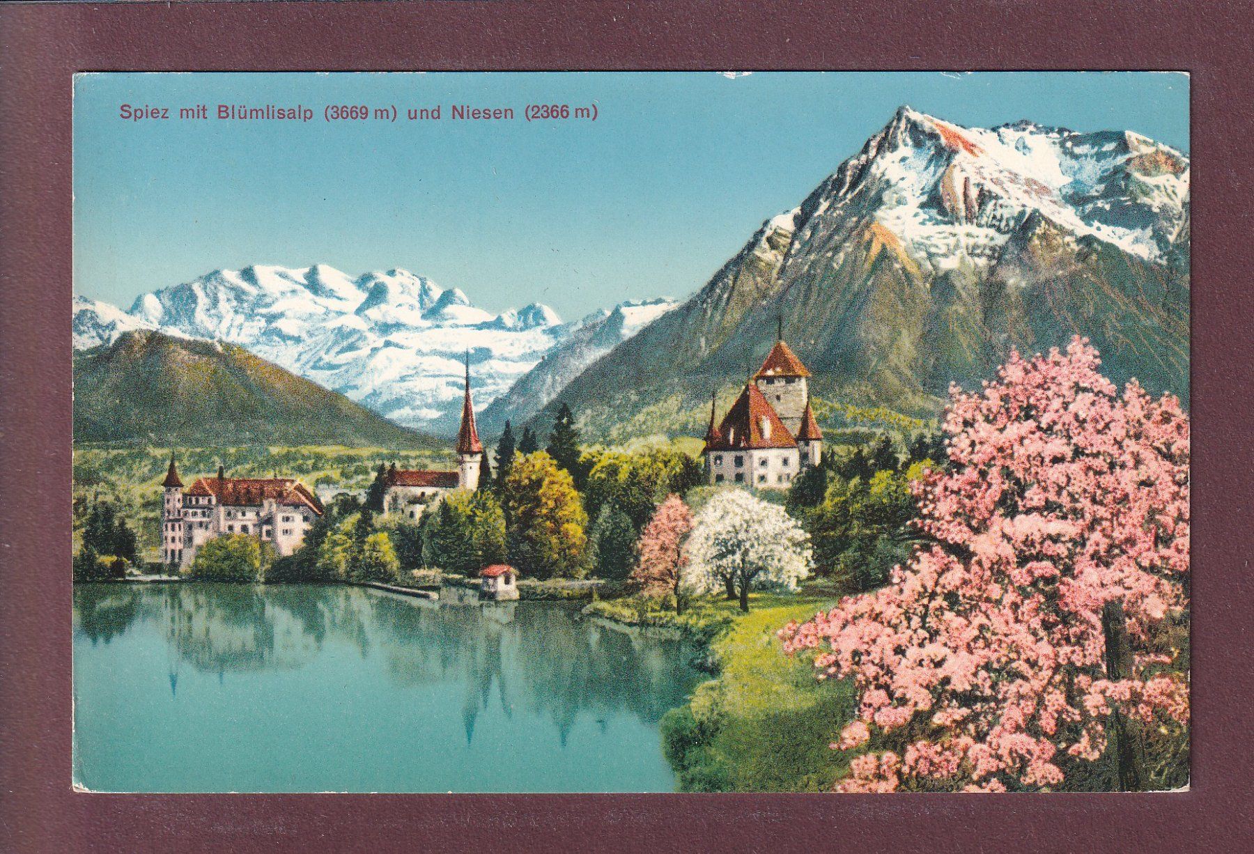 Cartes postales: SPIEZ - Blümlisalp - Frühling – D'occasion à Pully par nicecards