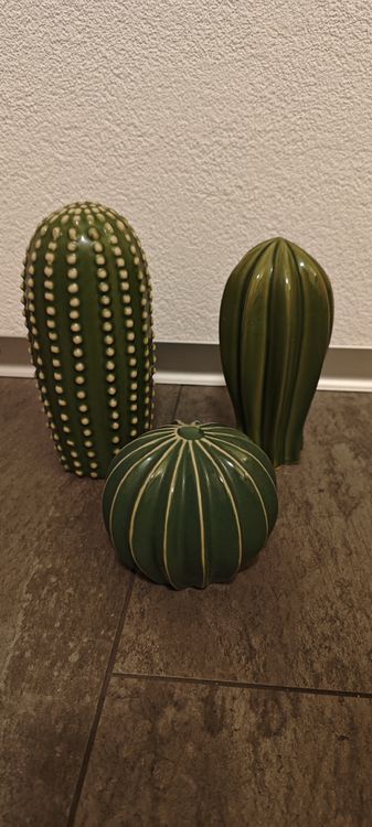 IKEA Sjlsligt Dekoration Kaktus 3er Set (Gebraucht) in Visp fr CHF 6   mit Lieferung auf Ricardo kaufen