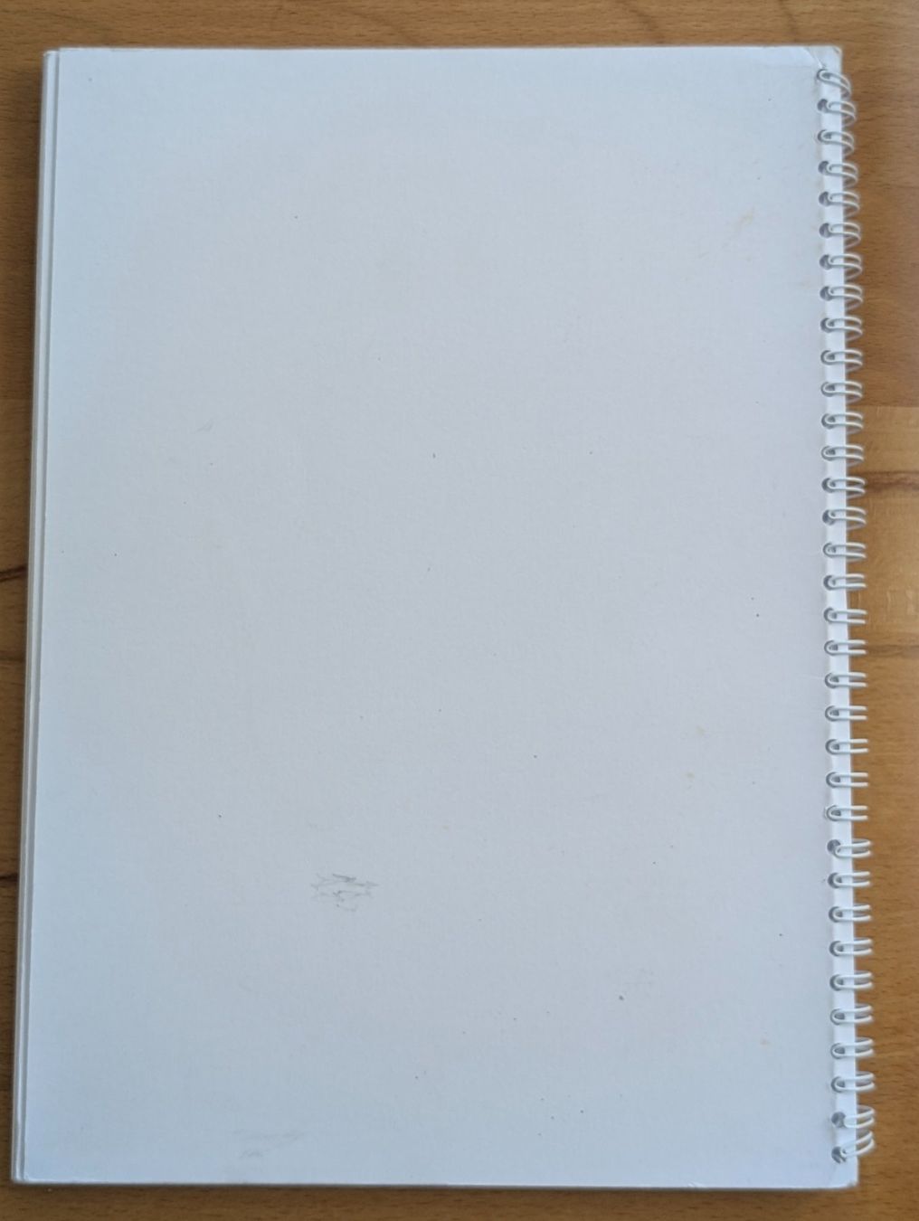 Libri: Kindergartenarbeitsmappe: Elefant – Usato da Weite venduto da Nur63 8