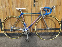 COLNAGO MASTER OLYMPIC ART DECOR REVI. FAHRB. 1A✨️