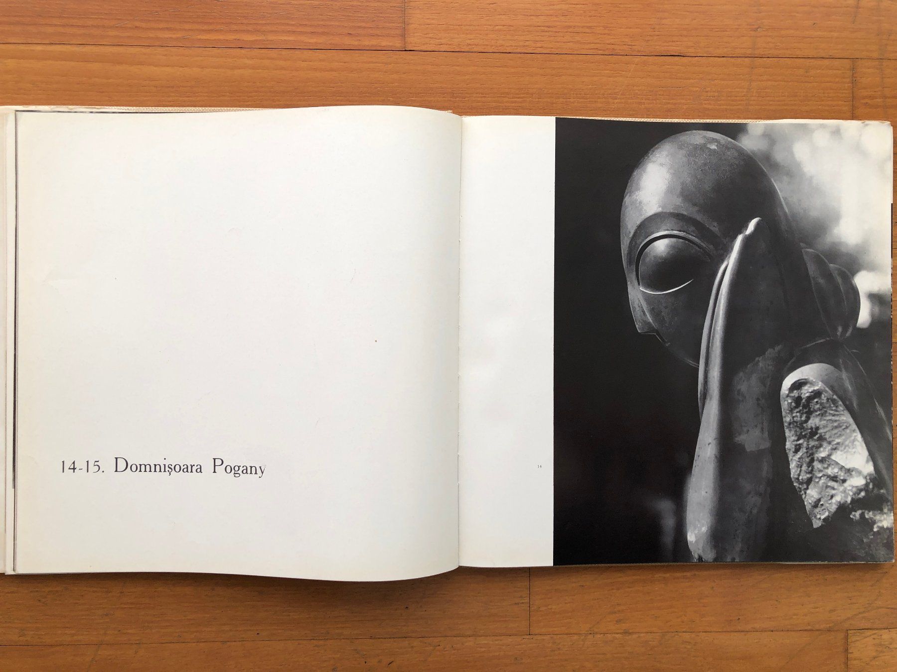 Libri: Kunst Buch: CONSTANTIN BRANCUSI – Usato da Lugano venduto da gio.yo 3