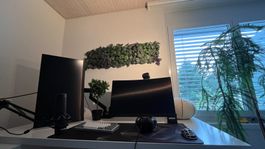 Gaming-Setup Komplettpaket für Einsteiger & Fortgeschrittene