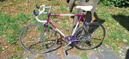 Bama Rennvelo
