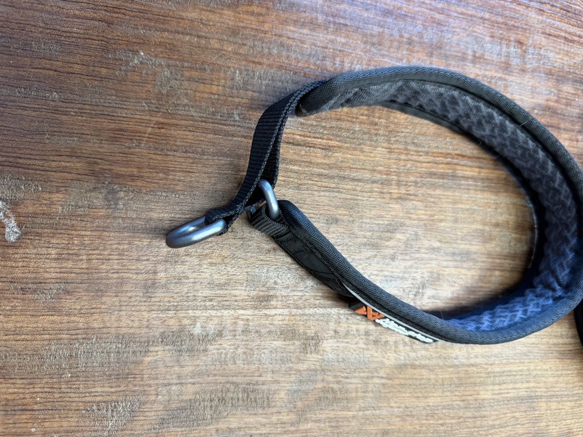 Leine & Halsband: Non Stop Halsband – Gebraucht aus Wangen SZ von ca018 2
