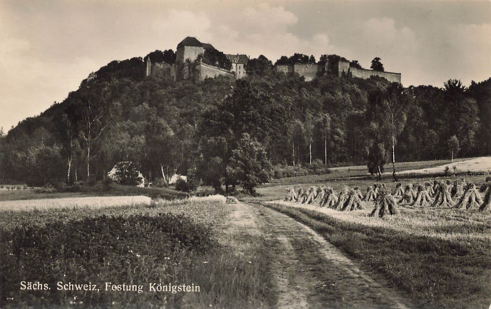 Cartoline postali: Sächs Schweiz Festung Königstein – Usato da Biasca venduto da Blenio71