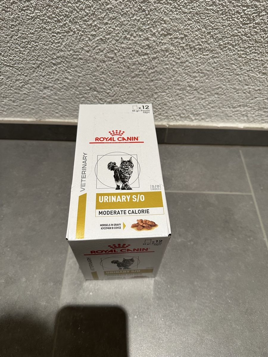 Verwunderlich Royal Canin Nierenfutter Katze Ebenbild