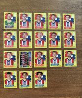 Norwegen Panini WM 2026