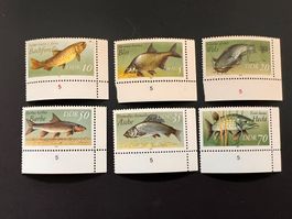 DDR 1967 Fische Mi. 3095-3100  Luxus **   (3365)