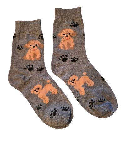 Socken Hunde / Dog / Pfote / Tatze