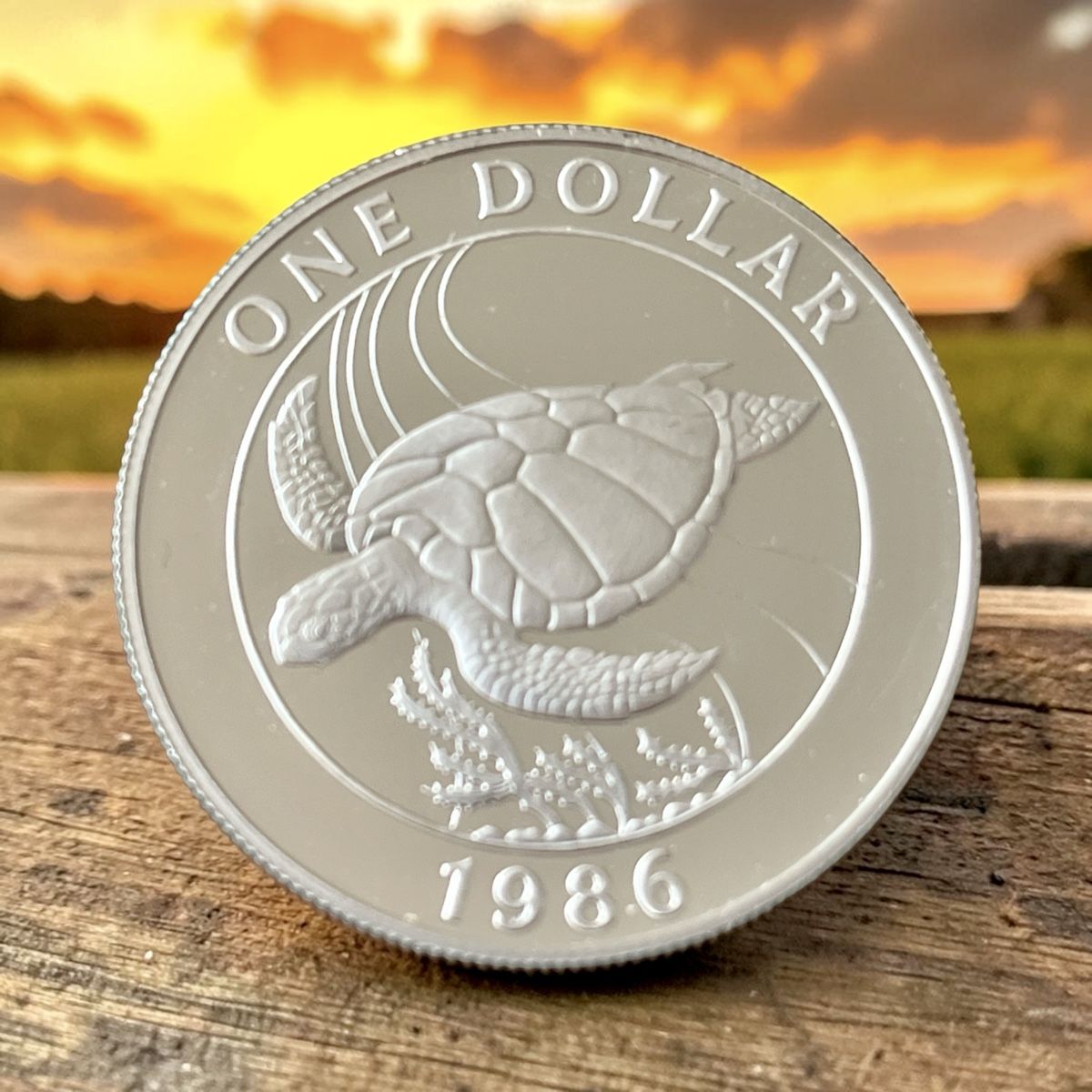 Tutti le monete: Bermuda 1 Dollar Silber – Nuovo (secondo la descrizione) da Winterthur venduto da Numismatica-Vitu 1