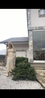 Zara Kleid. Gr. M. Guter Zustand