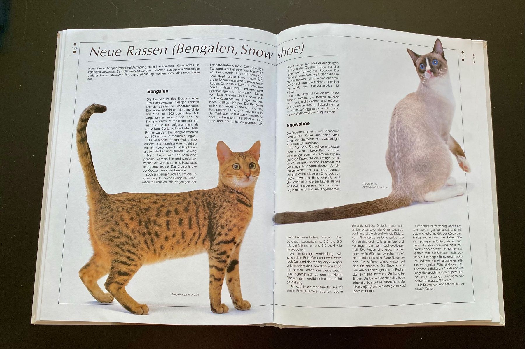 Livres: KATZEN – D'occasion à Nussbaumen AG par schuba2000 7