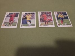 Panini Sticker WM 2014