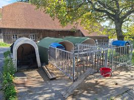 Umzäunung zu Kälberiglu, Kalberiglus, Rinder, Ziegen,