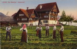 Appenzell   AI  -   Zur BLEICHE  /   Heuernte um 1917