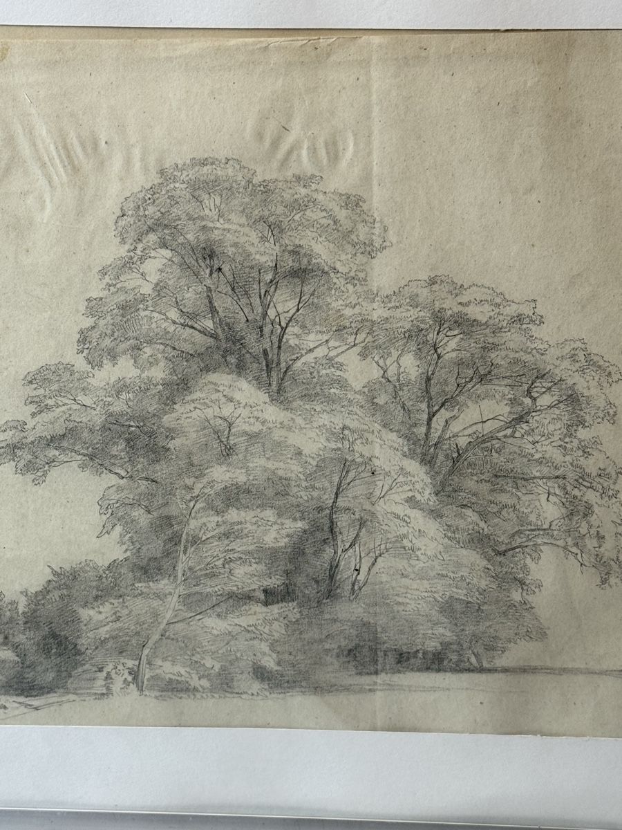 Gemälde: A. Howarth Zeichnung Bauerneiche, ca. 1850 – Gebraucht aus Grenchen von swiss.antiques 3