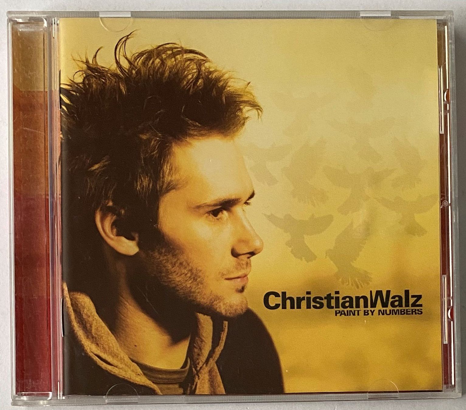 CD: Christian Walz, Paint by Numbers – Usato da Flums venduto da Asquillo