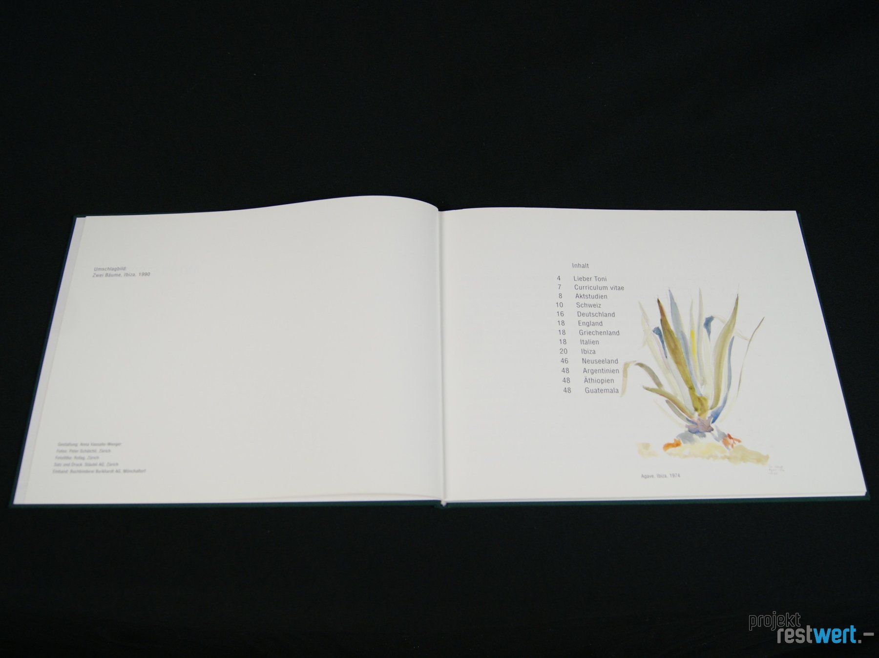 Libri: Buch Aquarelle von ANTON E. SCHRAFL – Usato da Bülach venduto da restwert_buelach 5