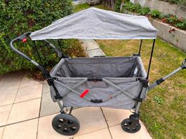 Bollerwagen für 2 Kinder