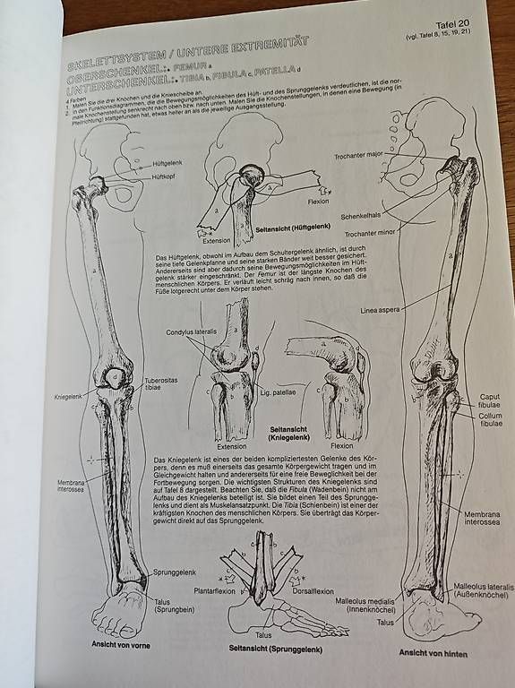 Libri: Anatomie-Malatlas – Usato da Oberengstringen venduto da dalisiana 1