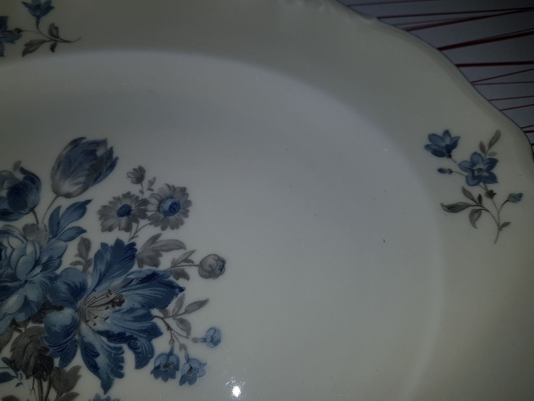 Piatti: assiette ovale EPIAG CZECHOSLOVAKIA – Usato da Cossonay-ville venduto da Super-Price-Quality 6
