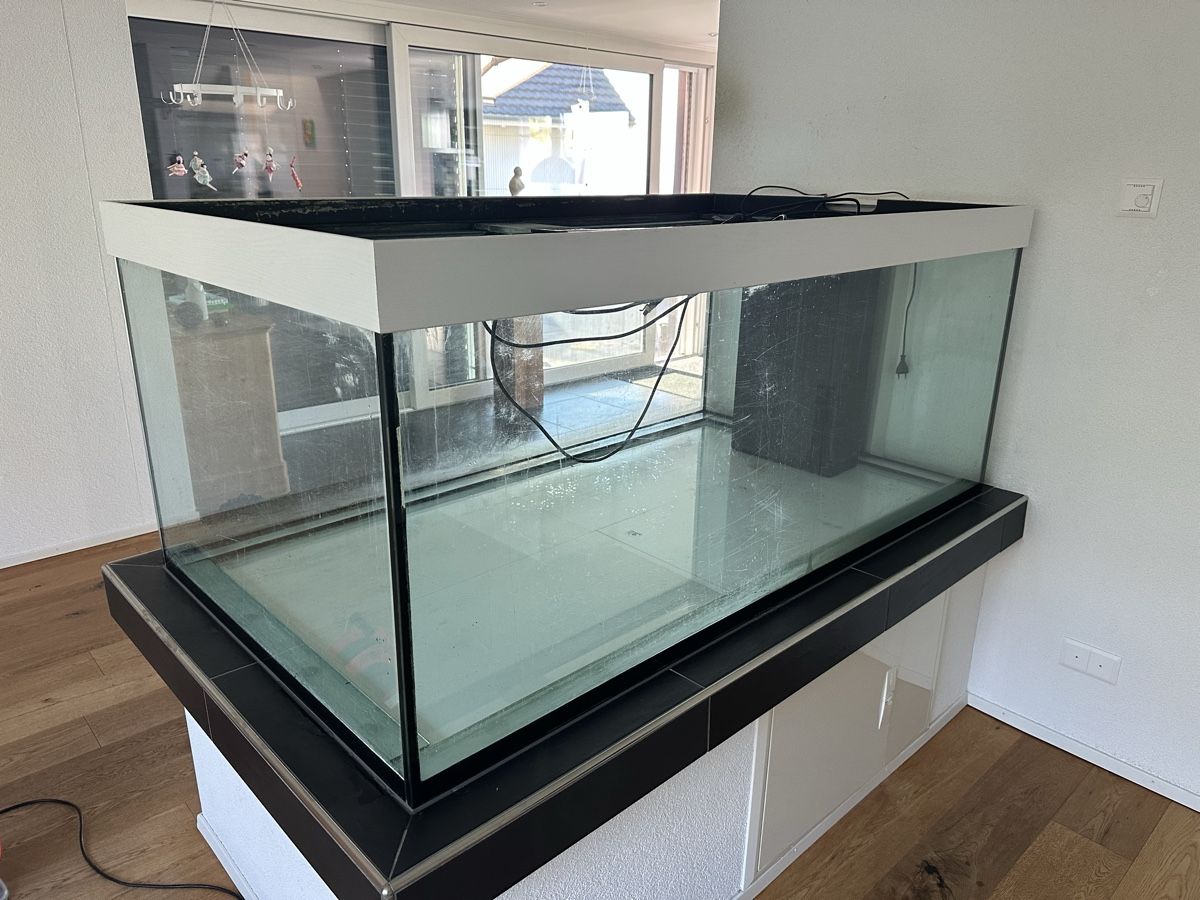 Acquari: Aquarium, Glaskubus – Usato da Untereggen venduto da mir_5zwb 5
