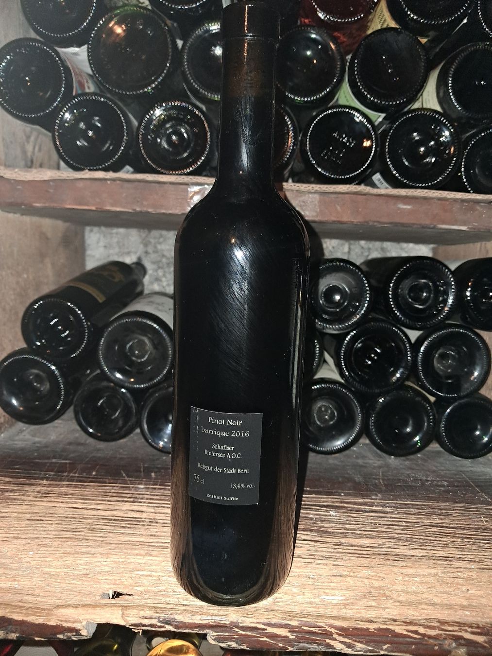 Vino: Schanser Pinot Noir Barrique 2016 – Nuovo e nell'imballaggio originale da Le locle venduto da juliensaran 2