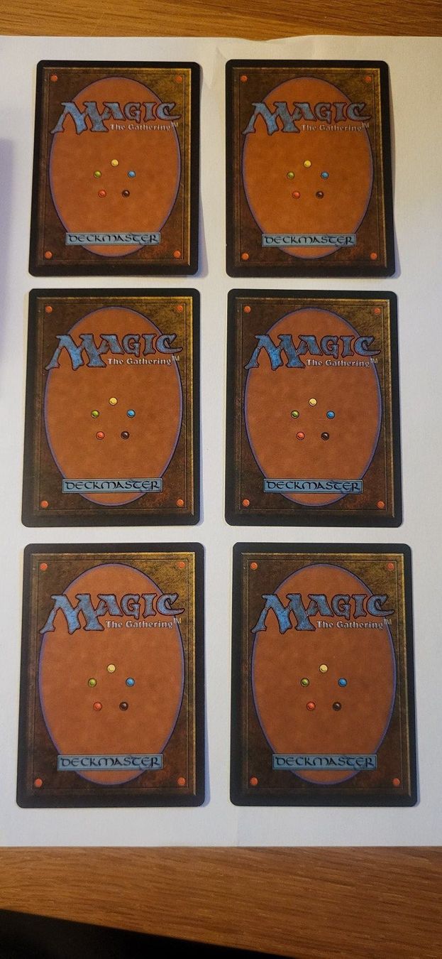 Magic The Gathering Carte collezionabili: MTG - Verschneite Ebene – Usato da Münsingen venduto da Heroism2010 1