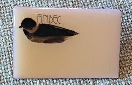 J858 - Pin FINBEC  Ente