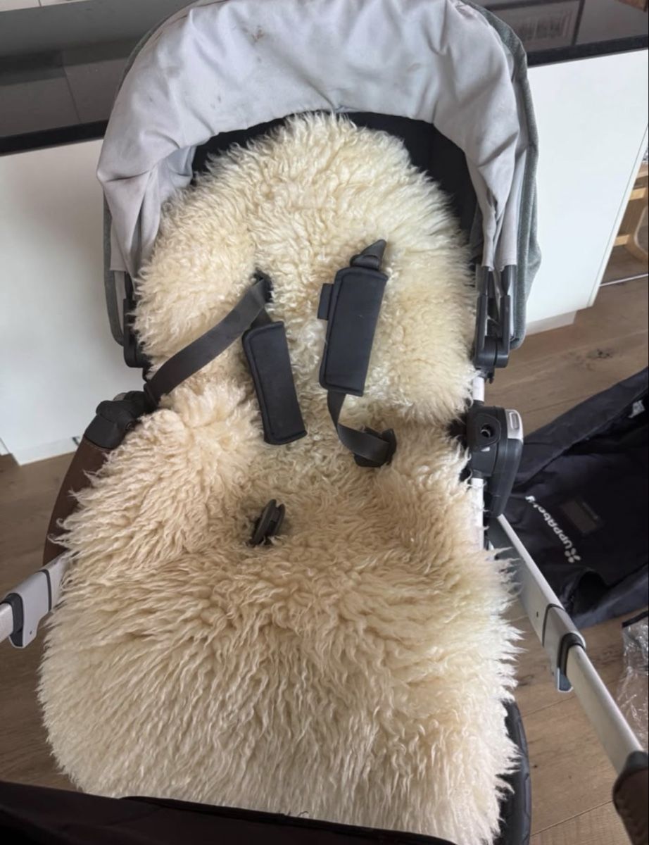 UPPAbaby Poussette: Kinderwagen UPPAbaby Vista V2 – D'occasion à Münchwilen TG par Larry86 2
