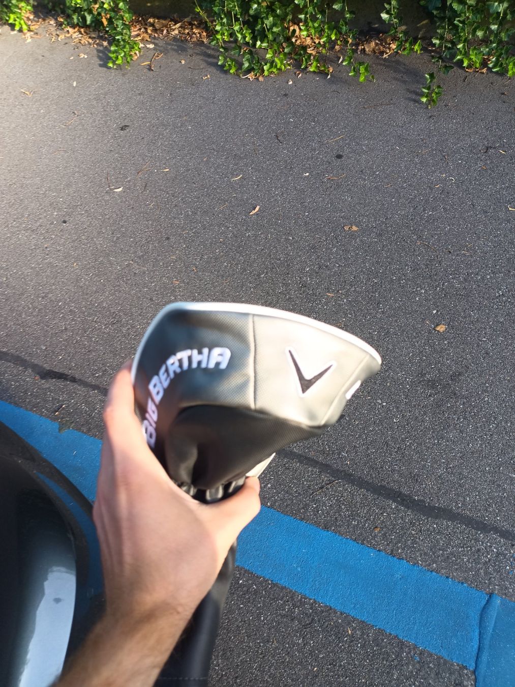 Schläger & Sets: Callaway Big Bertha Driver Headcover – Gebraucht aus Zürich von Louizz 1