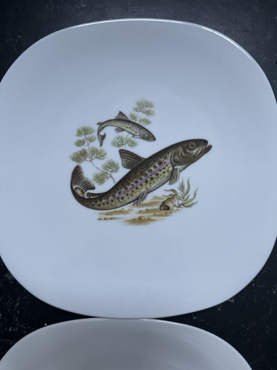 Piatti: Tellerset 6 Stk. Fischteller Suisse Langenthal  – Usato da Bern venduto da schnupka 1