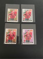 Panini Selten Extra Sticker Sammlung