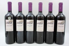 6x Pinot Noir Les Coteaux de Sierre (26070960Z)