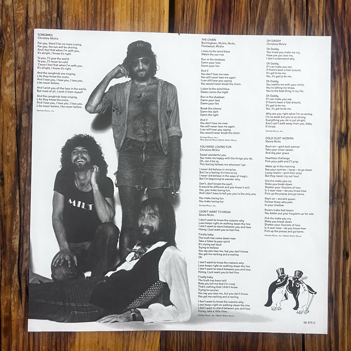 Dischi in vinile: Fleetwood Mac Rumours Schallplatte – Usato da Umiken venduto da mar_p7n9 2
