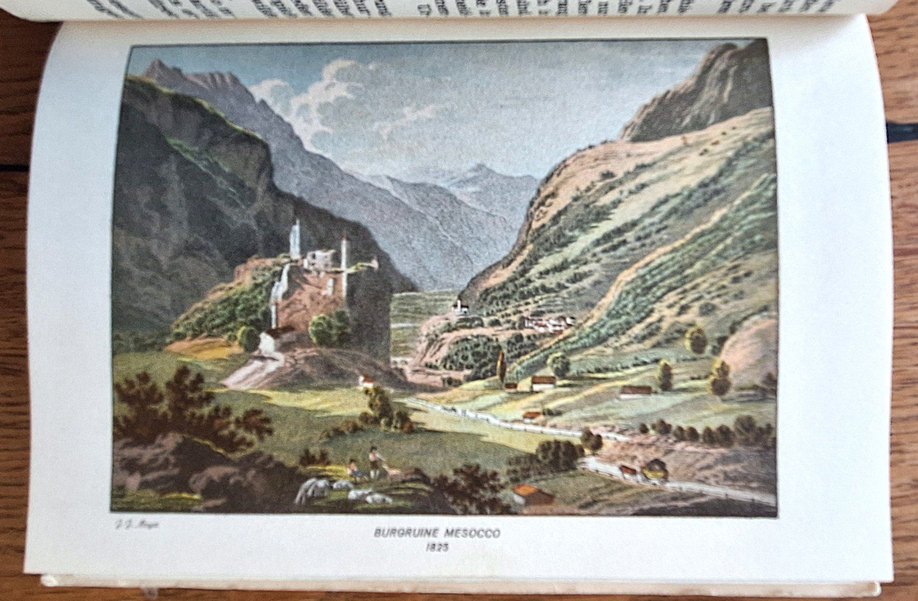 Bücher: Schweizerische Alpenposten – Gebraucht aus Schaffhausen von Hottschili 7