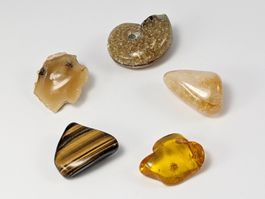 Gold Wert - Stein Set mit Bernstein und Ammonit Fossil