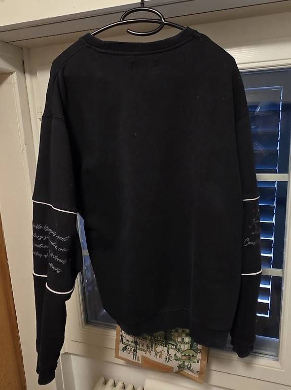 Pullover & Sweatshirts: GZUZ Pullover L – Gebraucht aus Chur von Jany88 1