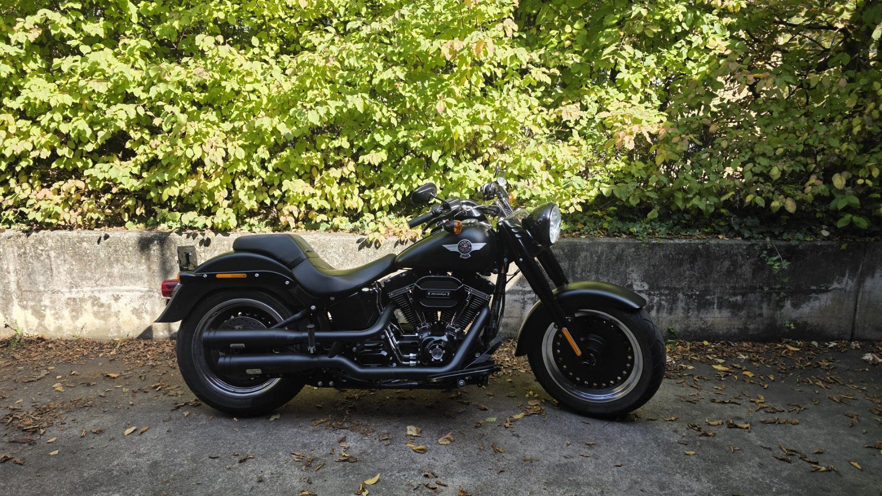 Harley-Davidson Chopper: Harley Davidson FLSTFBS – Gebraucht aus Aesch BL von isc_85jd 3